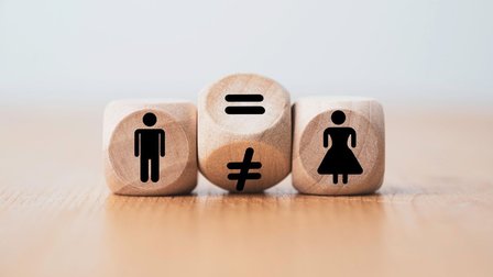 Gender (In)Equality Over the Life Course