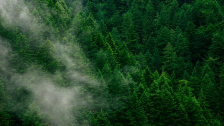 SoGreen Webinar 2: The Development of the SoGreen Module