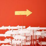 GGP User Guide Survey