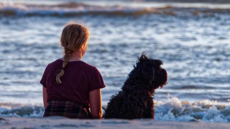 Infertility and Unrealized Ideal Family Size