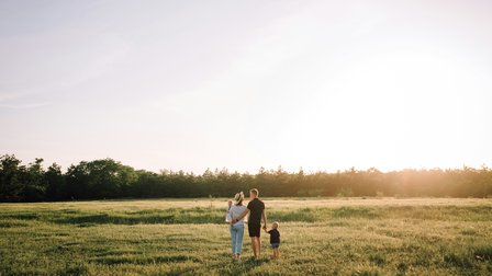 Explaining Fertility Intentions in the Republic of Moldova