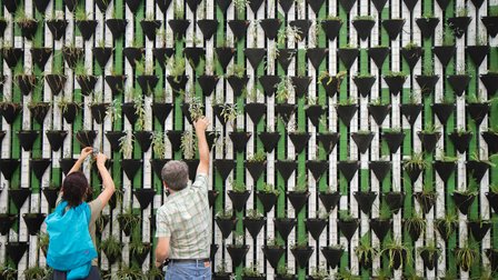 SoGreen: New tools for sustainability research
